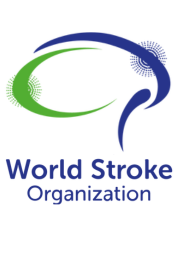 Penghargaan Diamond Award oleh World Stroke Organization Tahun 2025